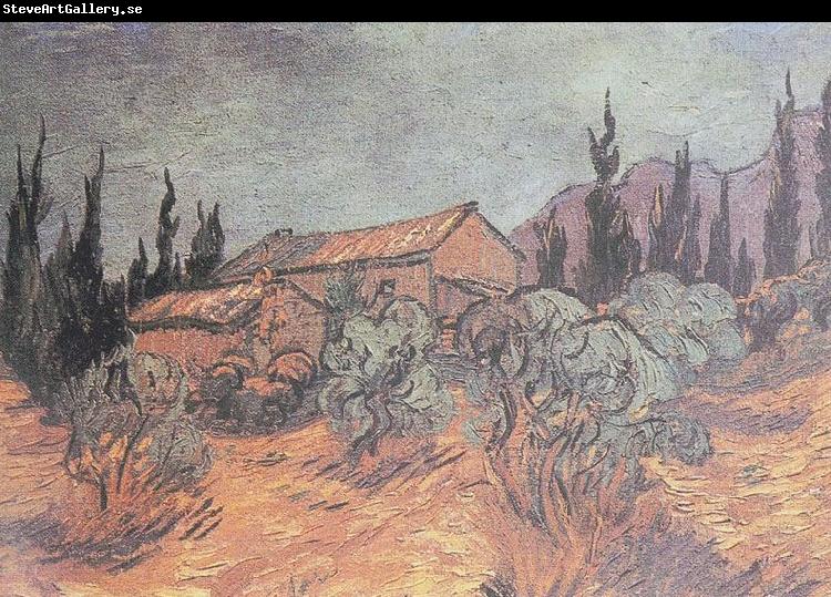 Vincent Van Gogh Huts surrounded by olive trees and cypresses